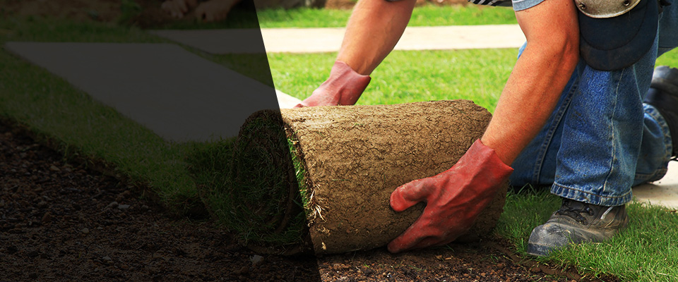 David City Landscapers